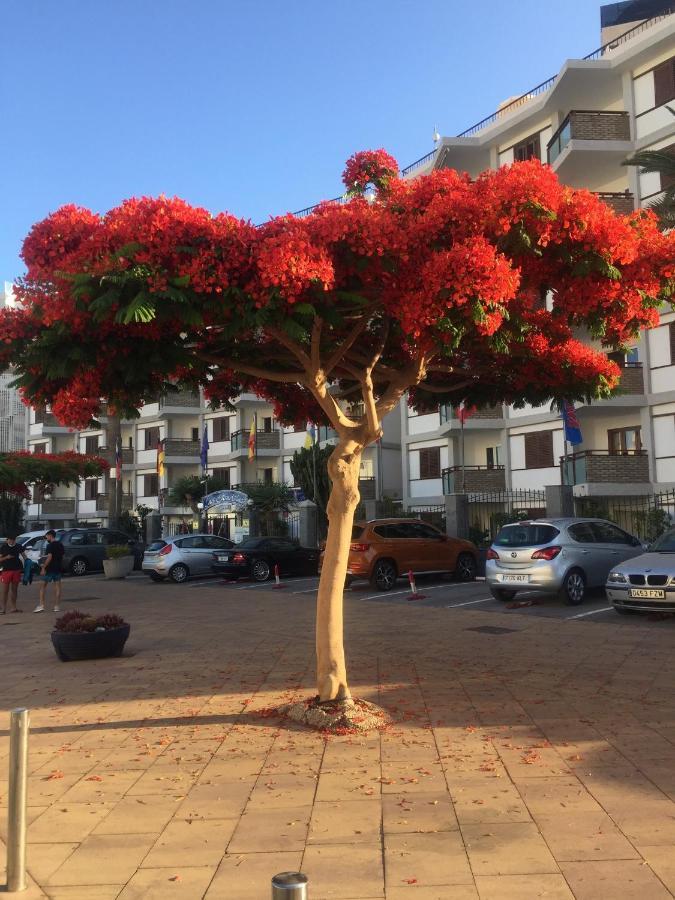 Top Floor Sea View Central Holiday Home Maspalomas  Exteriör bild